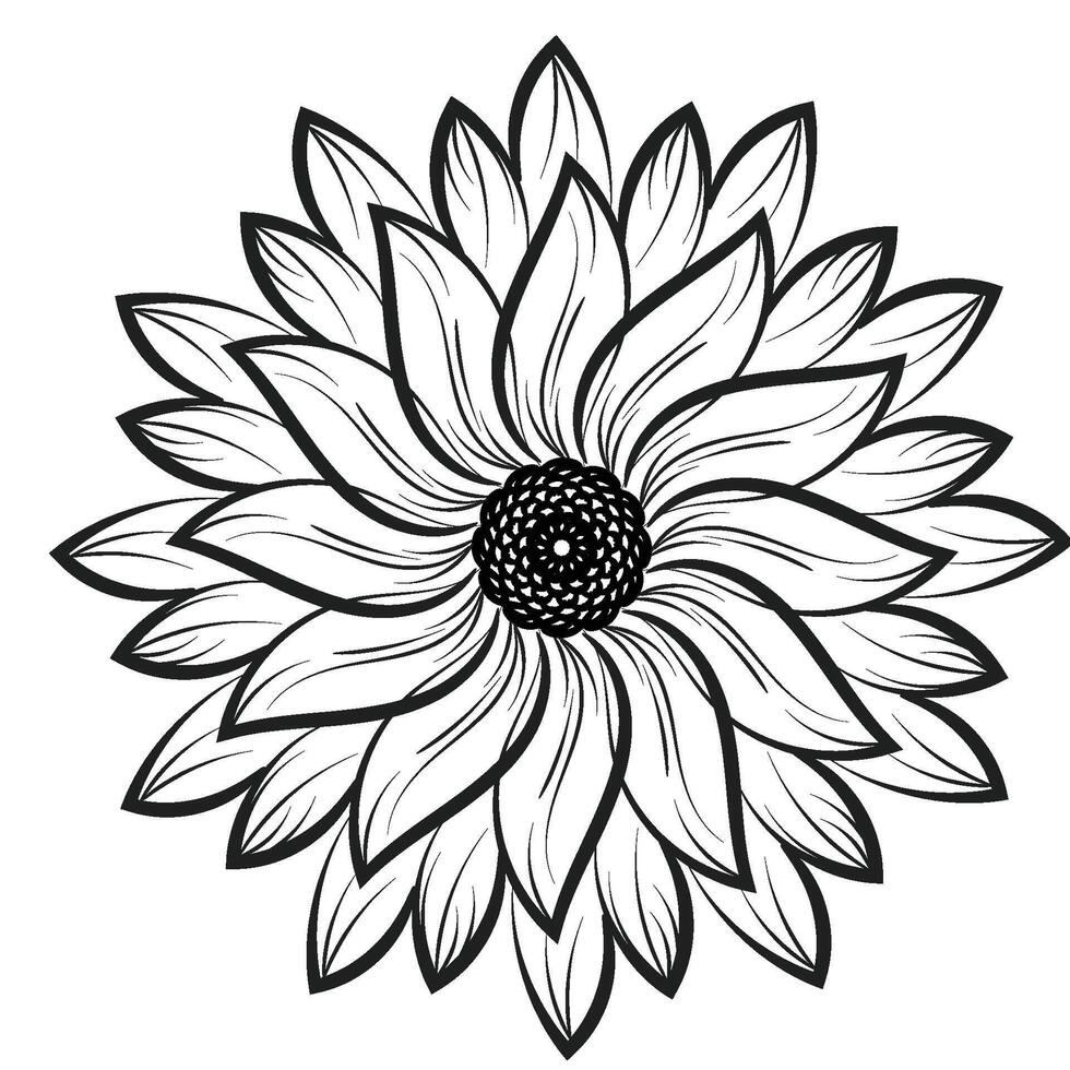 Flower Line art for coloring pages vector