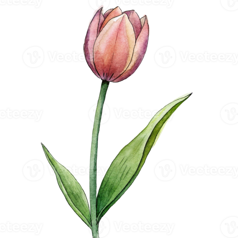 aigenerated a red tulip png