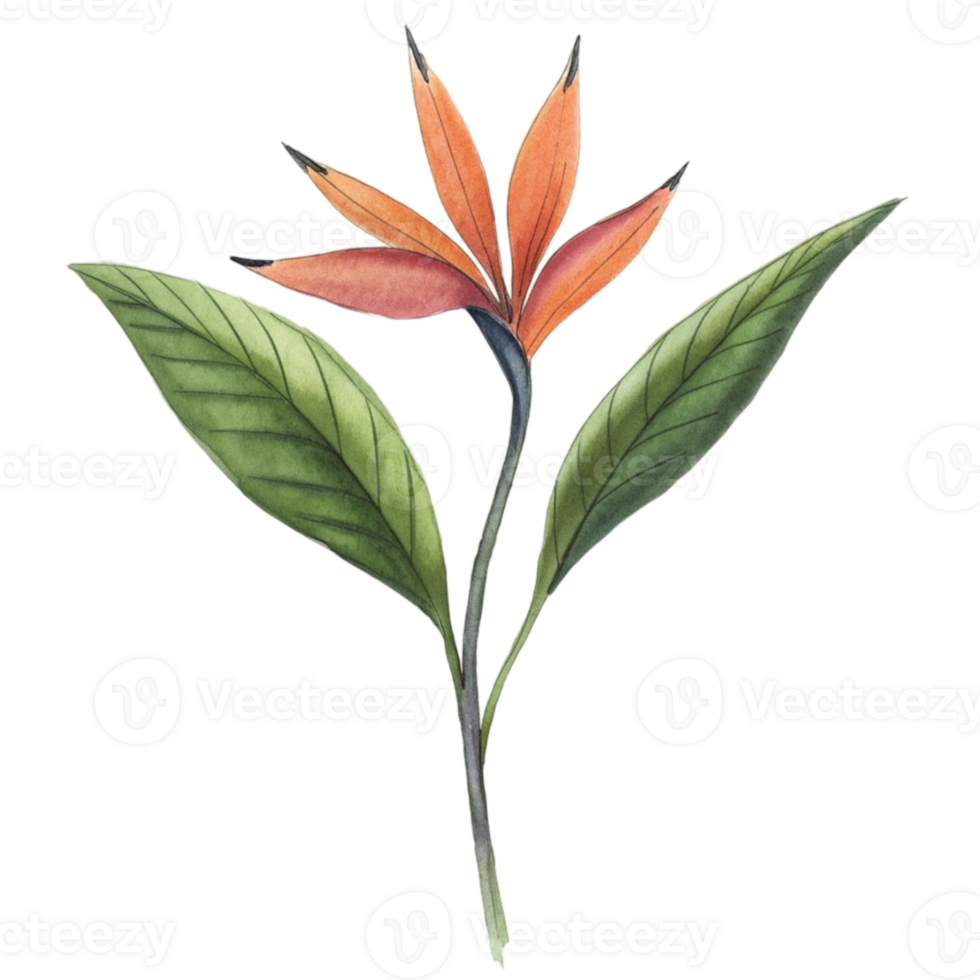 aigenerated bird of paradise flower png