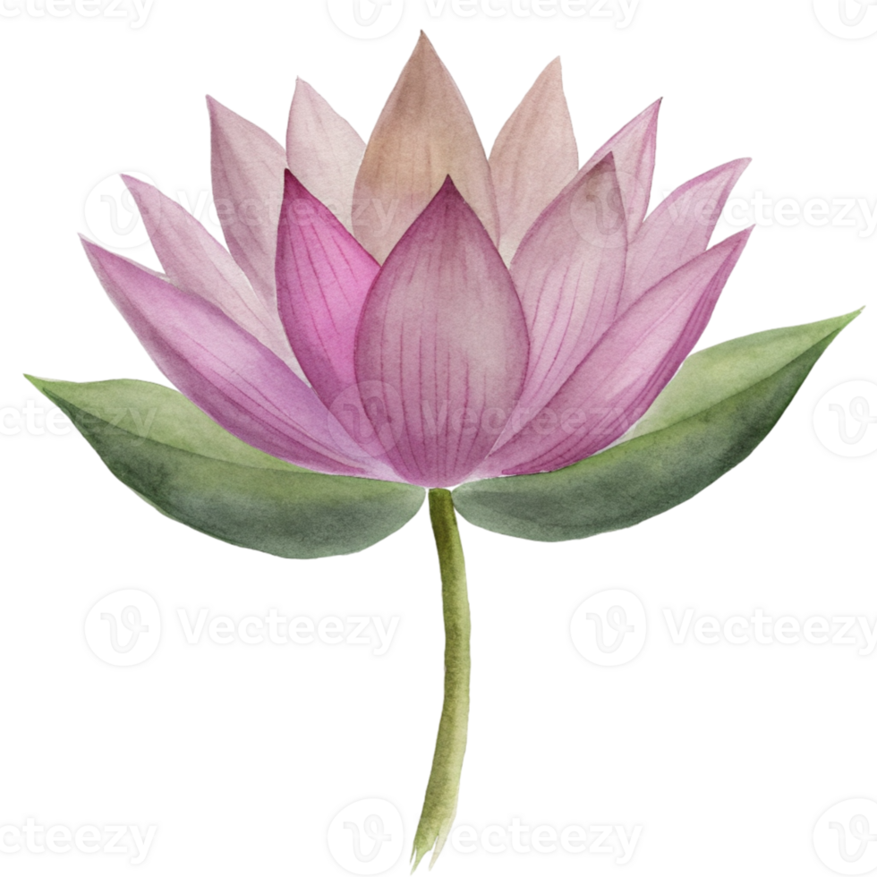 aigenerated a pink lotus flower png