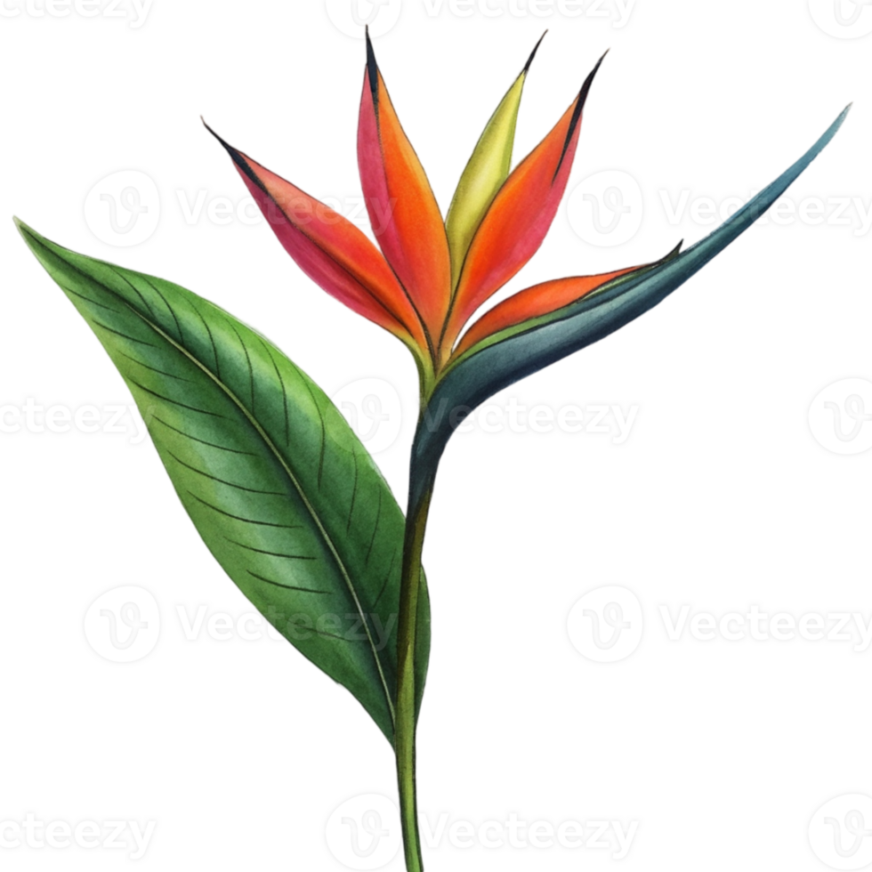 aigenerated bird of paradise flower png