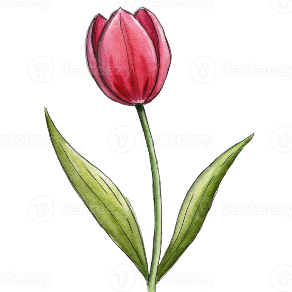 aigenerated a red tulip png