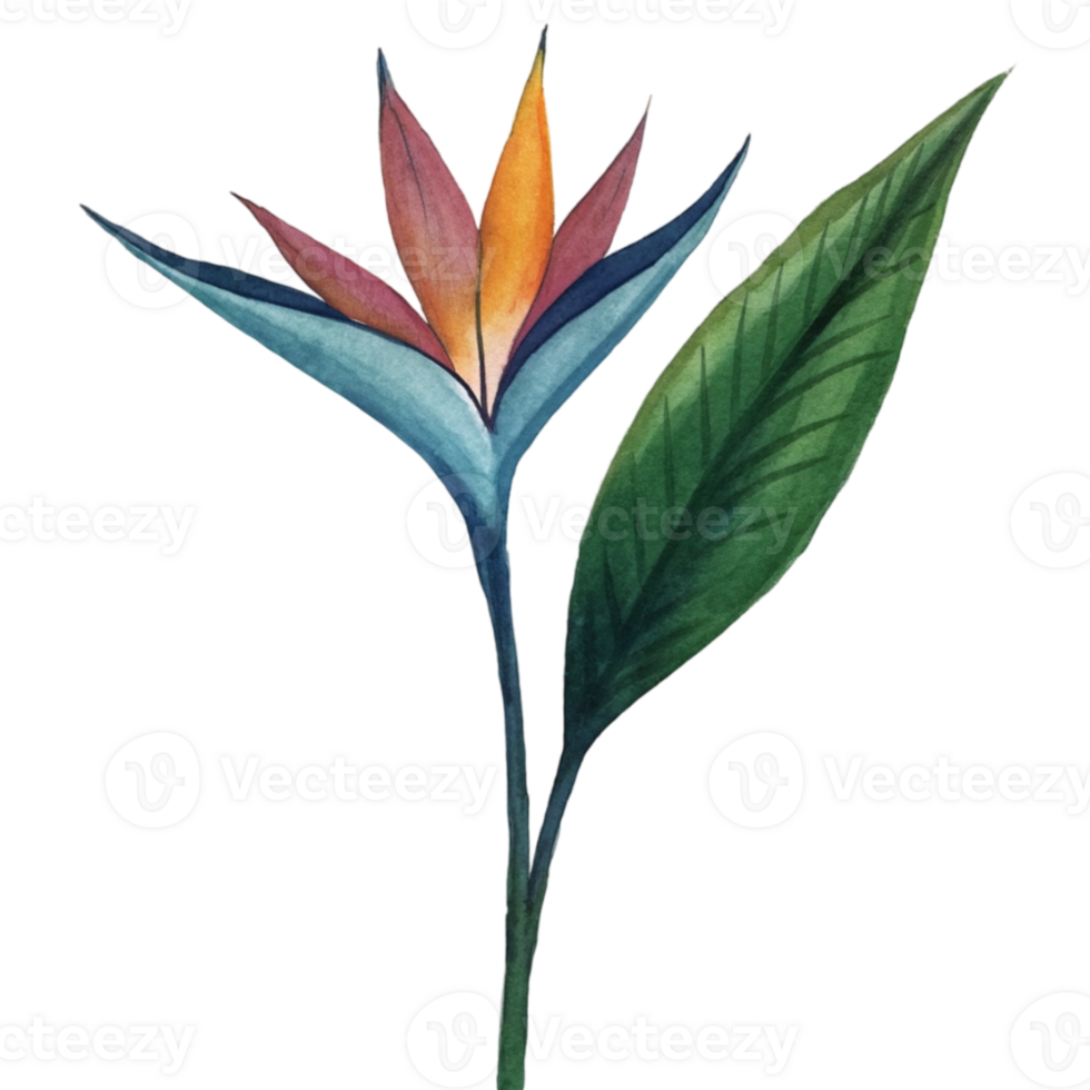 aigenerated bird of paradise flower png