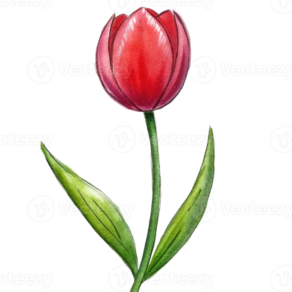 aigenerated a red tulip png