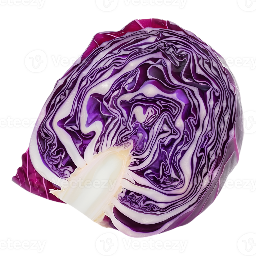 Cabbage Slice Isolated on Transparent Background png