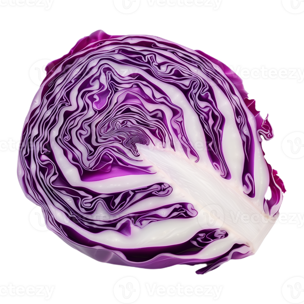 Cabbage Slice Isolated on Transparent Background png