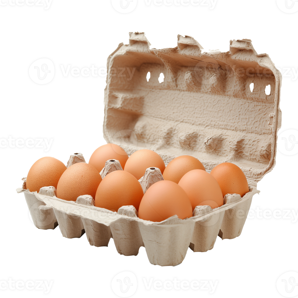 Egg Carton Isolated on Transparent Background png
