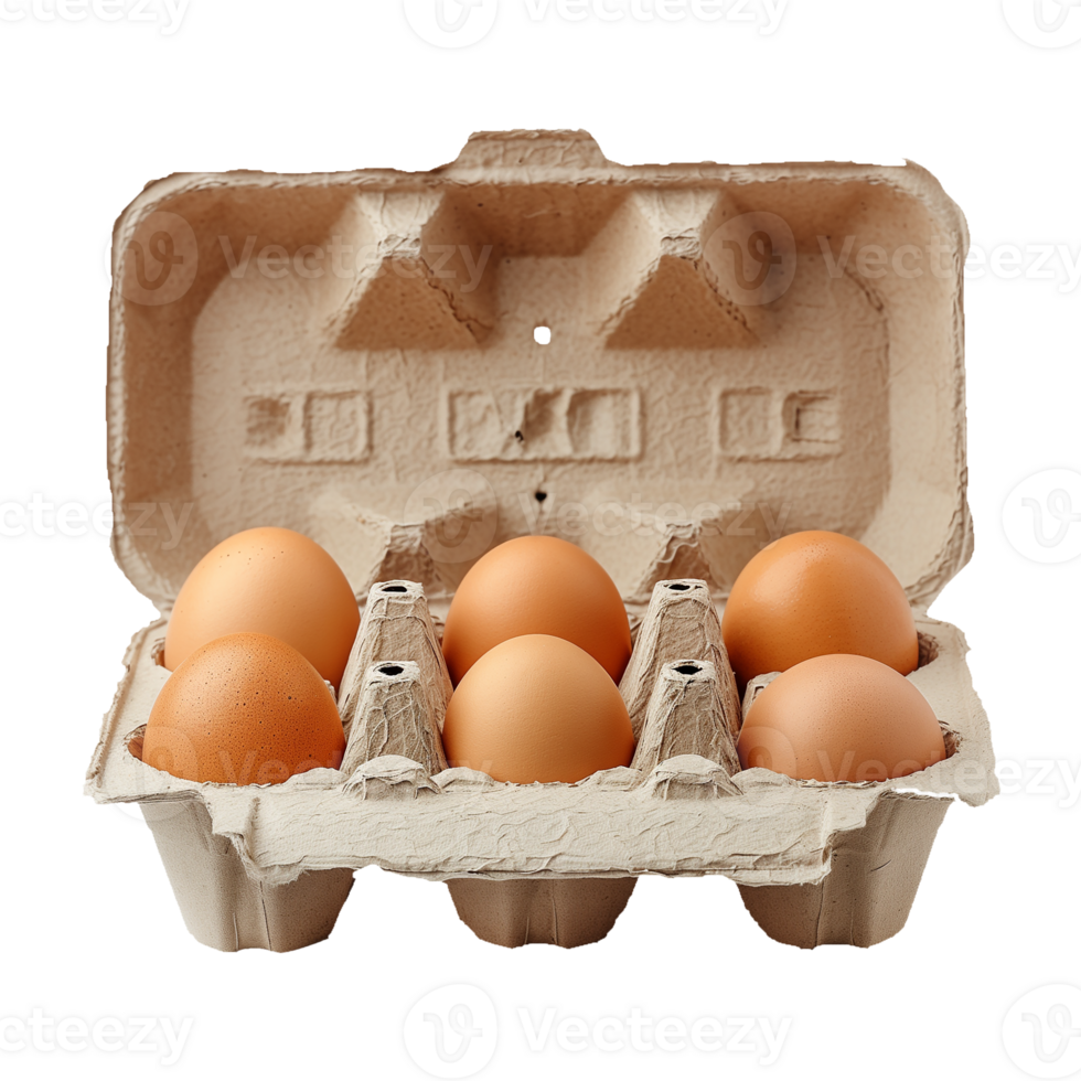 Egg Carton Isolated on Transparent Background png