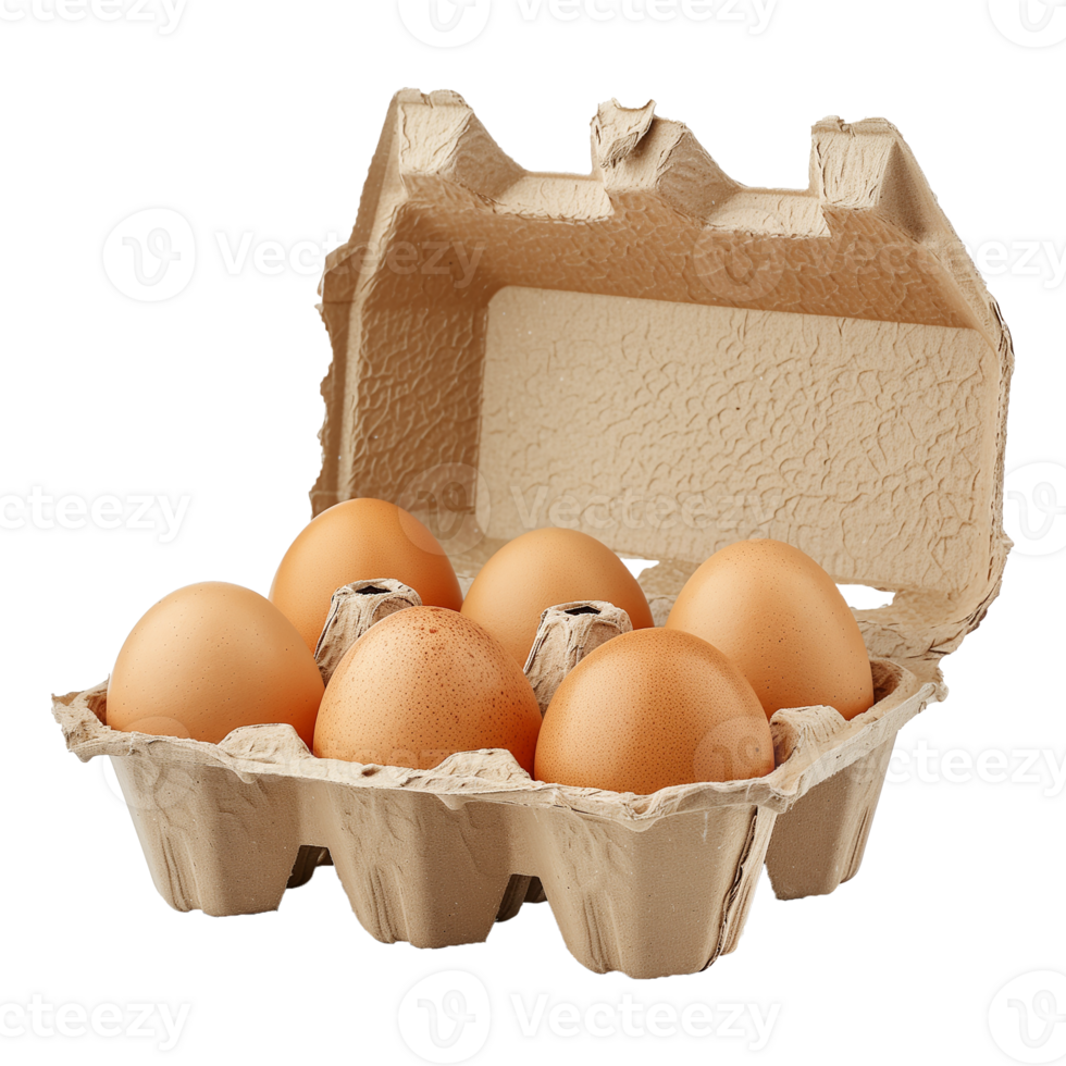 Egg Carton Isolated on Transparent Background png