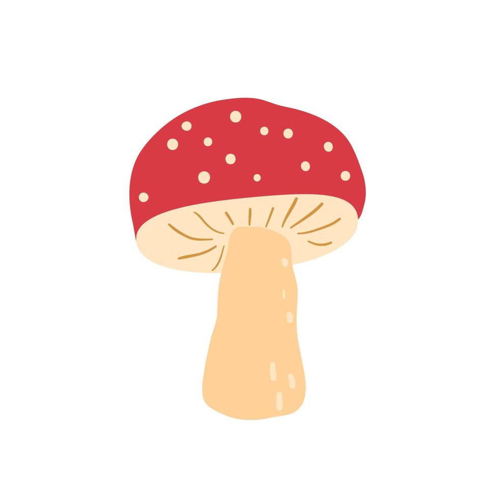 Fly agaric isolated on white background. hand drawn illustration vector