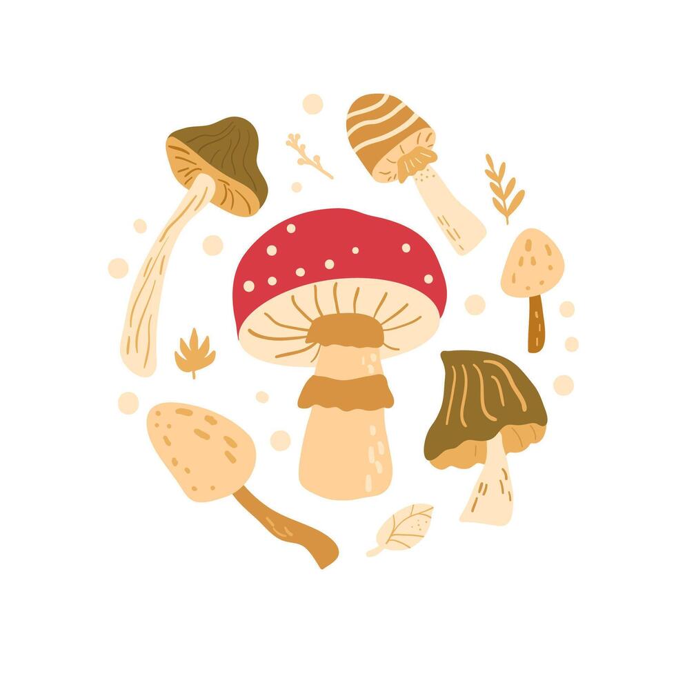 Fly agaric and toadstool round composition isolated on white background. inedible mushrooms badge. hand drawn flat illustration vector
