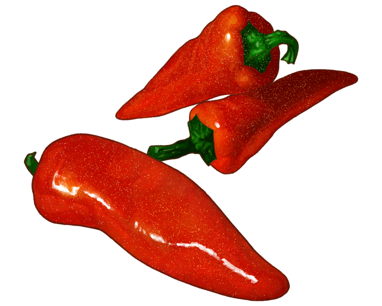 digital painting of a fresh red chili png