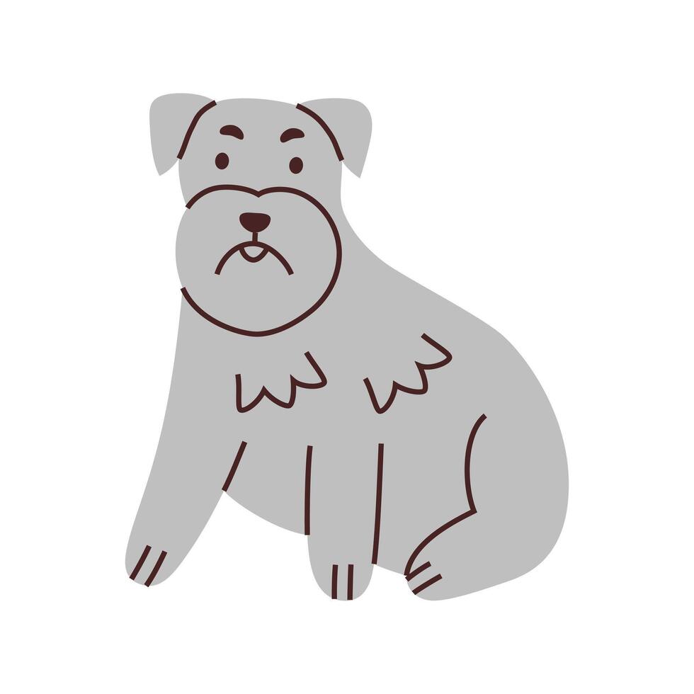 Schnauzer dog illustration. Cute cartoon pet with a beard and eyebrows, perfect for animal lovers, pet shops, and veterinarians. Adorable and expressive flat design, purebred terrier vector