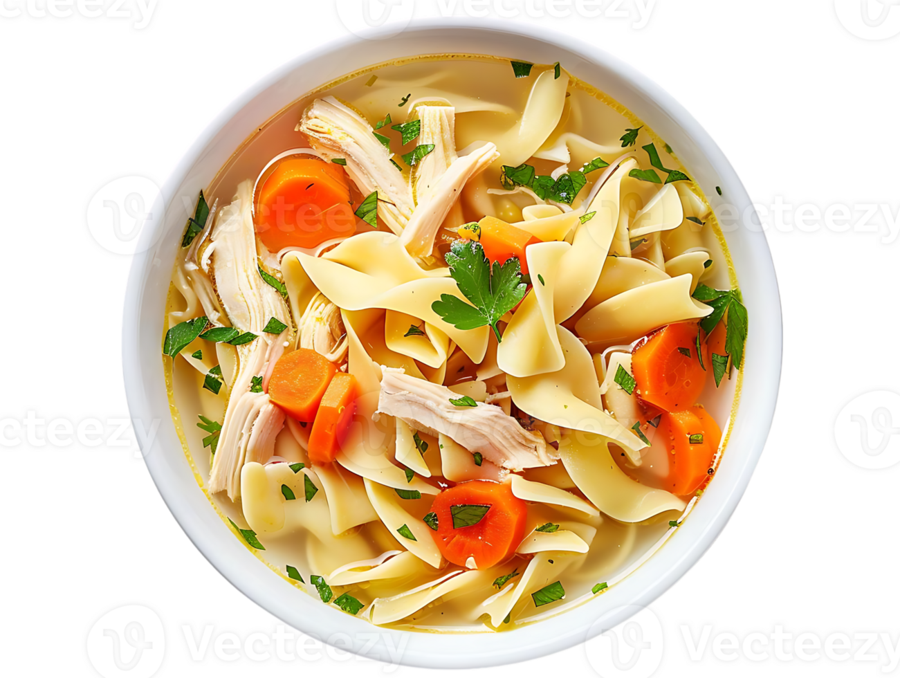 Chicken Noodle Soup in a White Bowl - Realistic Photo png