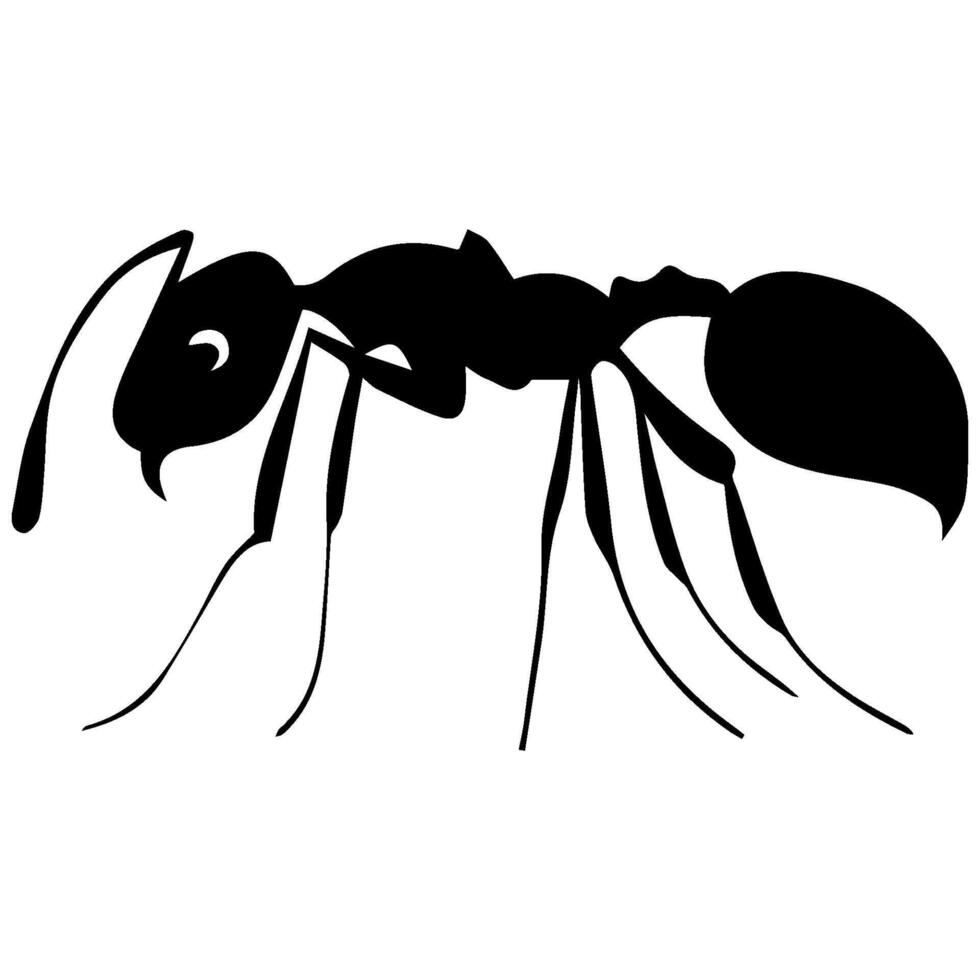 ant animal icon vectors illustration symbol design