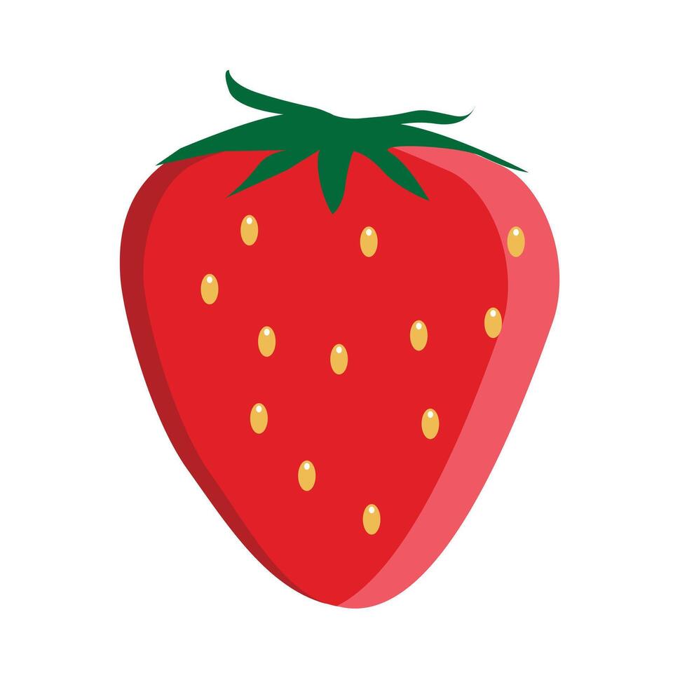 strawberry fresh fruit with flat design illustration vector