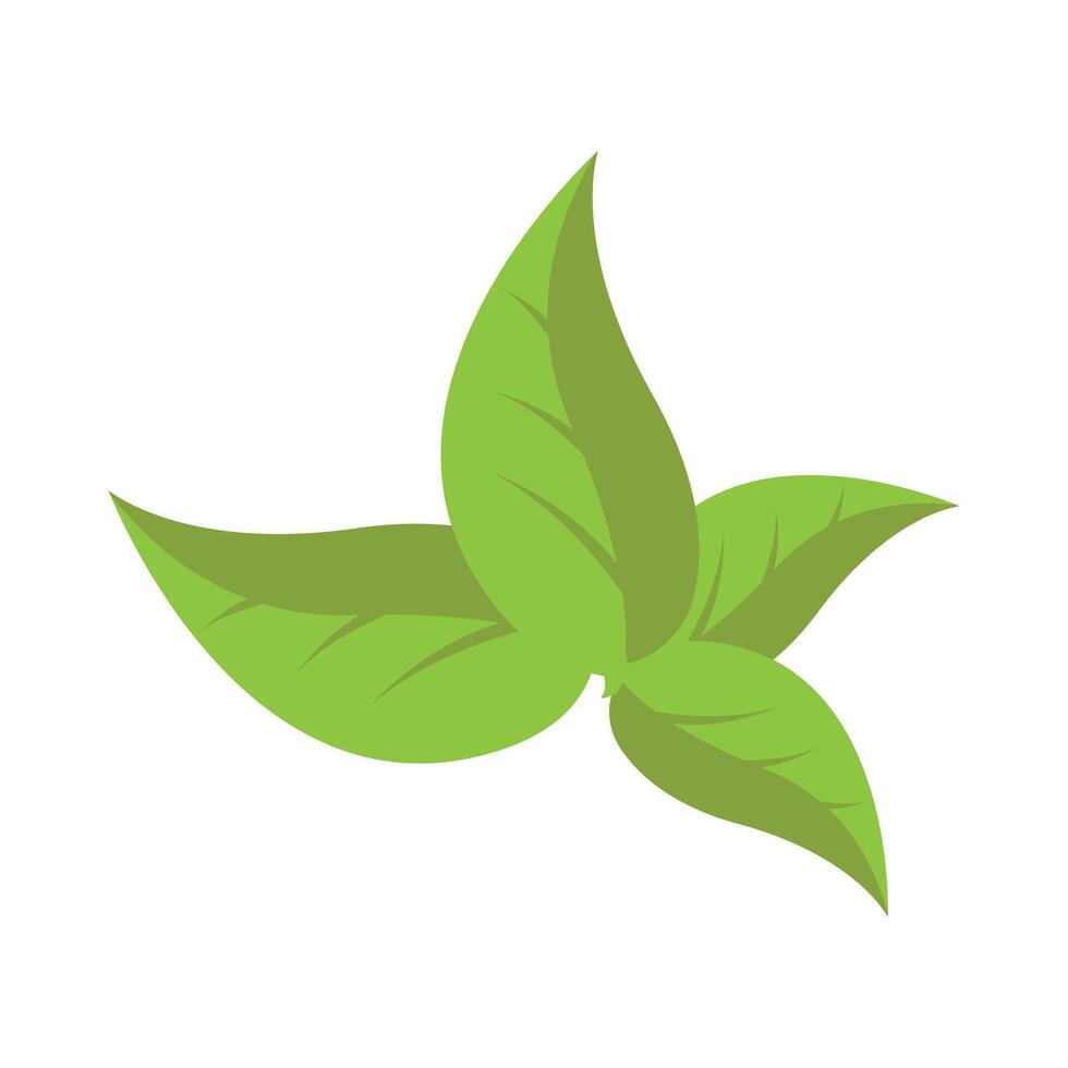 Natural of Tropical green leaves of leaf isolated on transparent background. vector