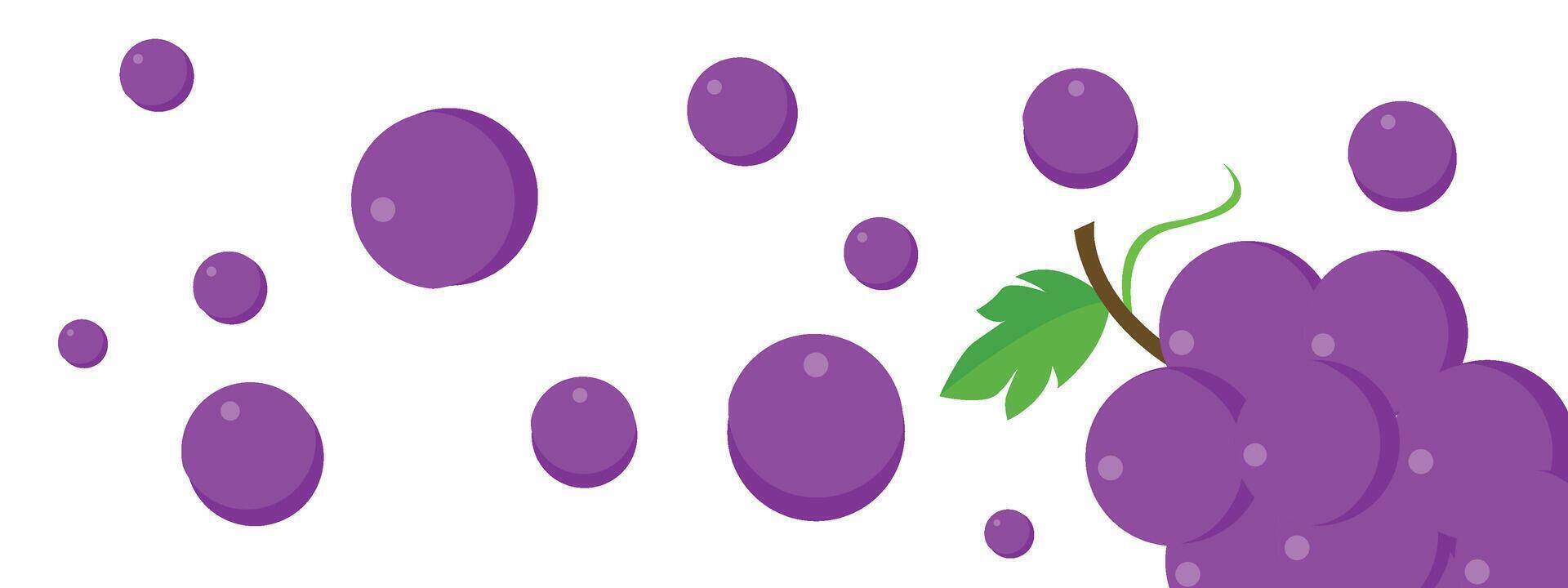 Flying Grape fresh fruit design isolated on white background . Popular fruit. vector