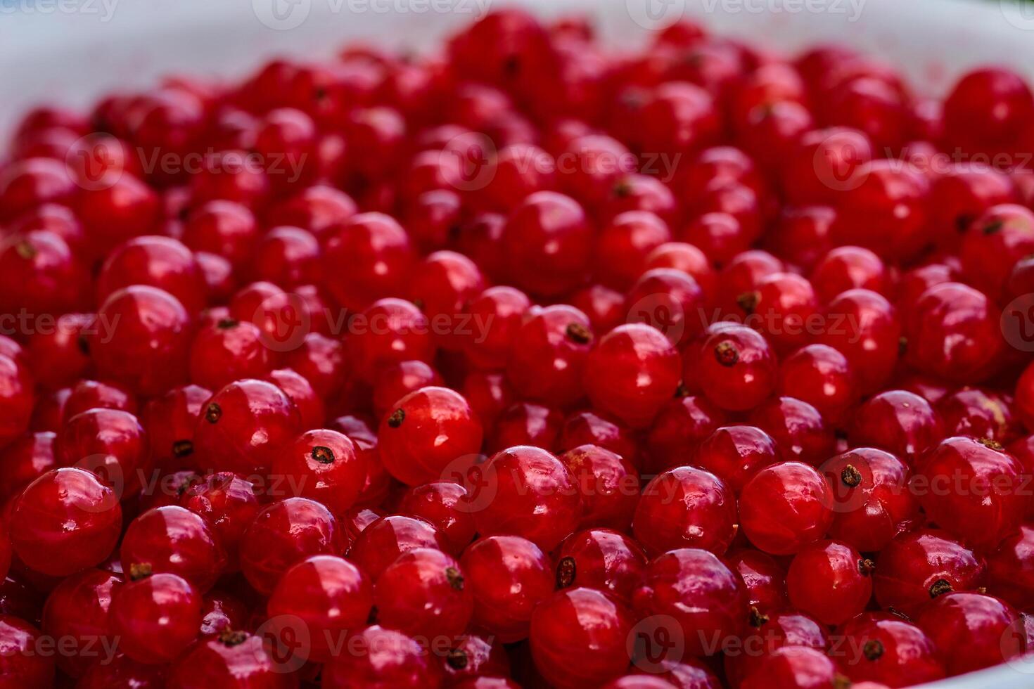 Red currant on green grass background in white cup photo