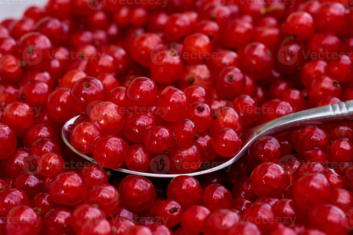 Red currant on green grass background in white cup, on the spoon photo