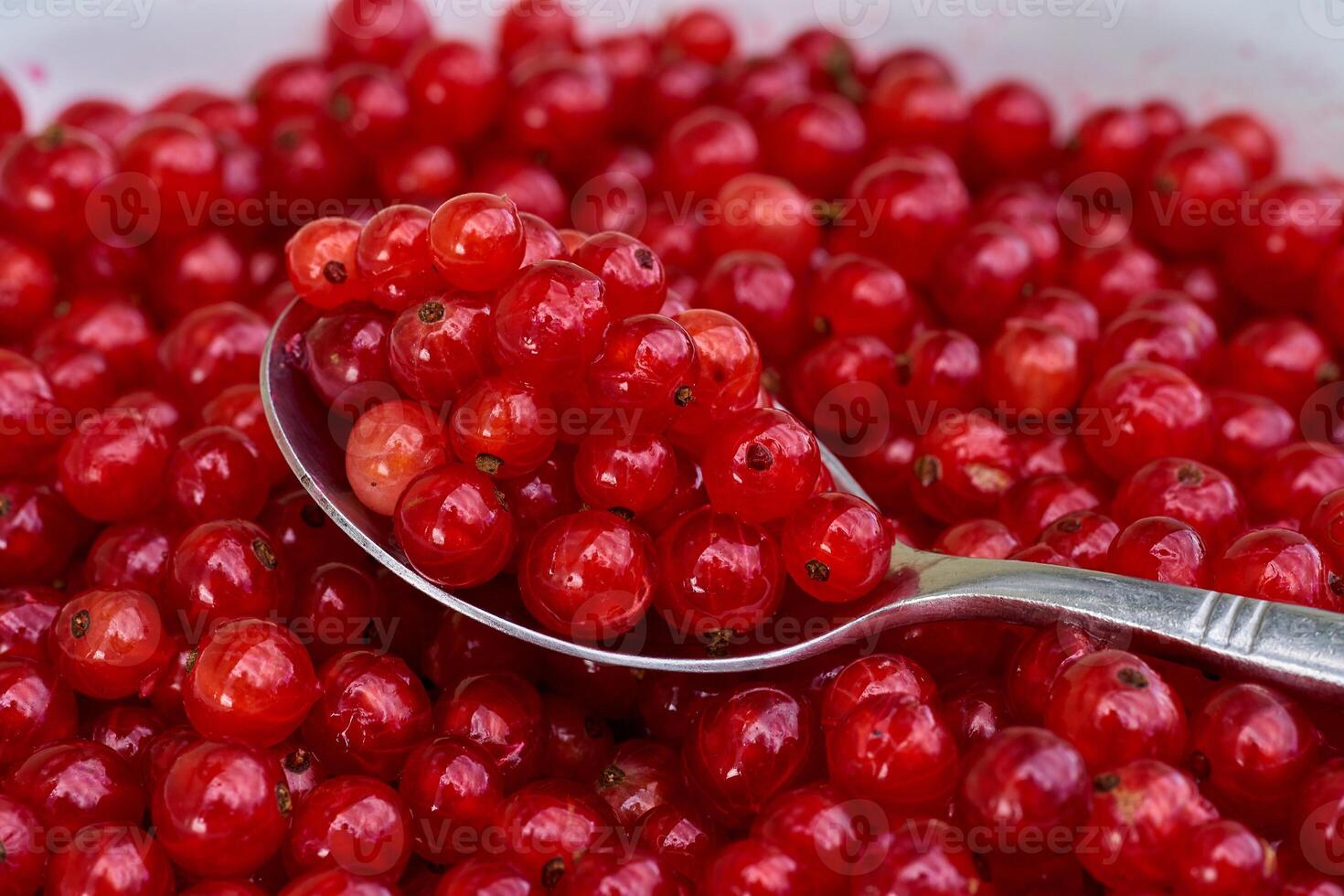 Red currant on green grass background in white cup, on the spoon photo