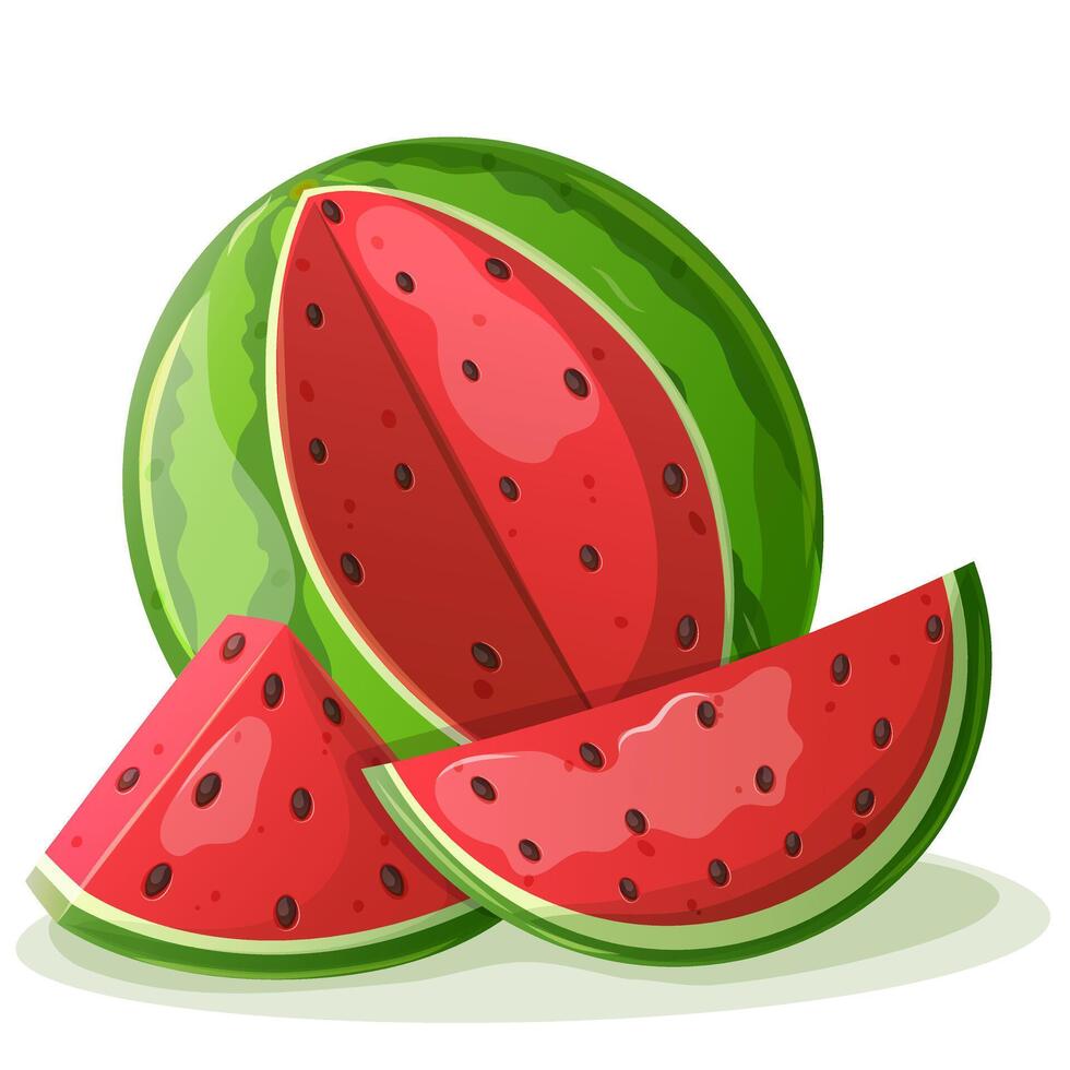 Watermelon part set isolated on white background. National watermelon day poster, card, banner design elements. vector