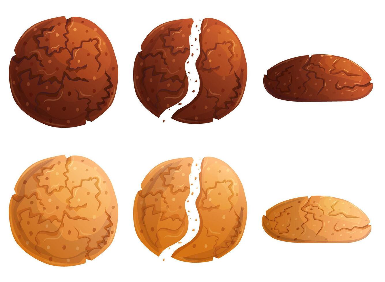 Traditional cookie almond and chocolate set. Whole, part and view in front sweet pastry. vector