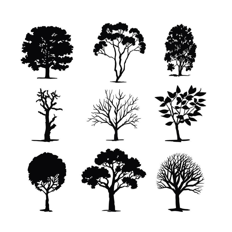 Set of Silhouettes of Deciduous Trees. black illustration vector