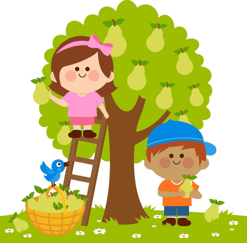 Farmer children in the garden, a boy and a girl picking pears under a pear tree. Girl is on a ladder picking pears. Children at the farm harvesting pear fruits. vector