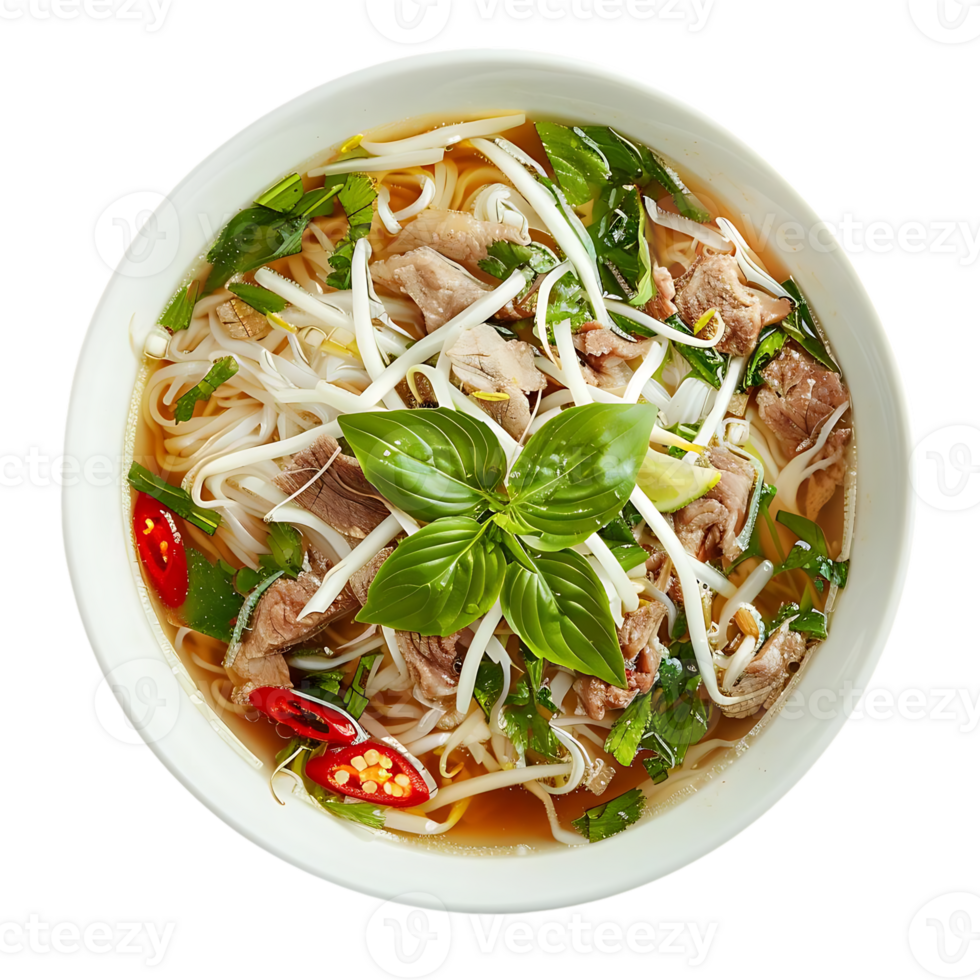 Vietnamese Beef Noodle Soup png