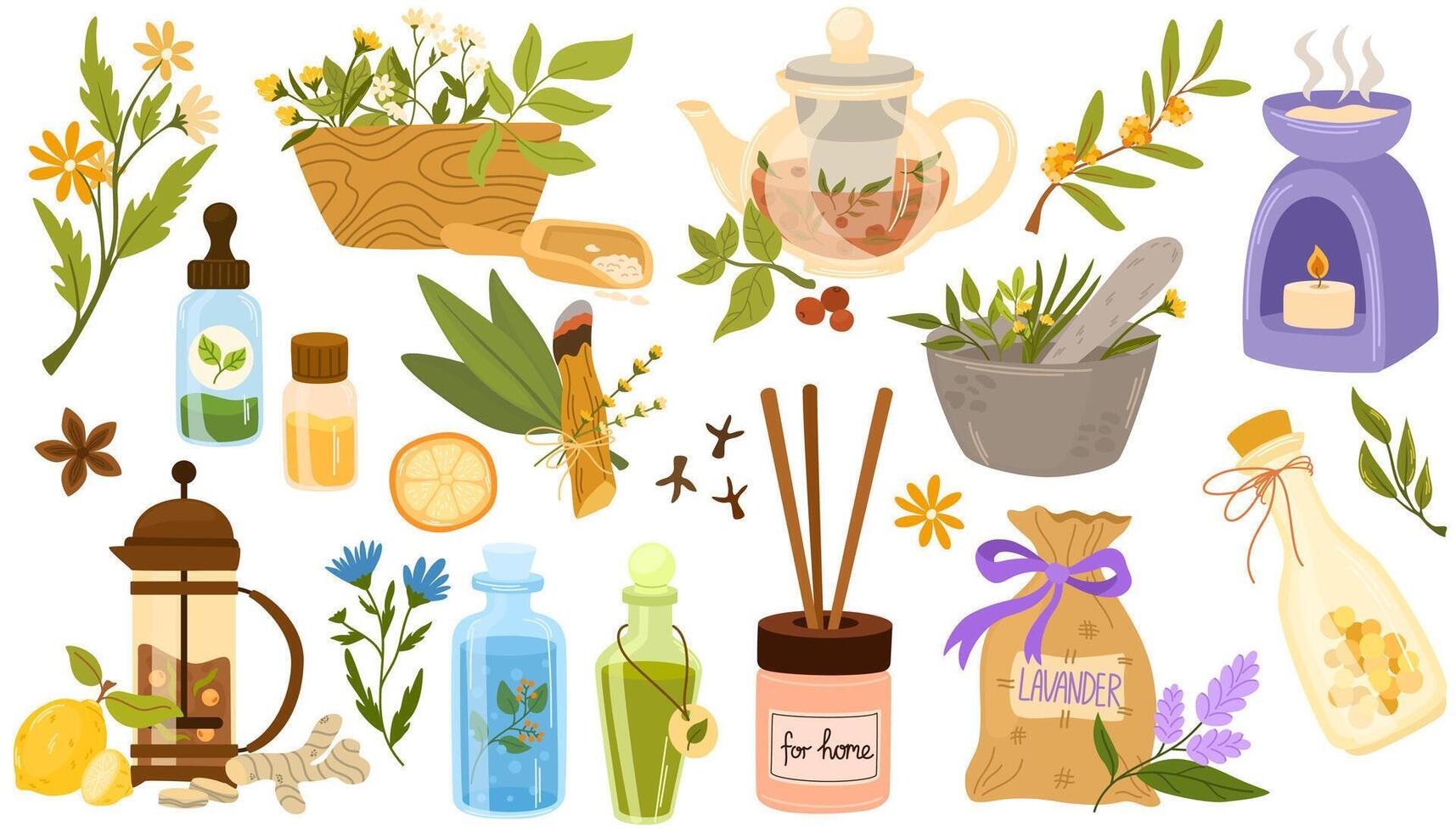 Homeopathy, aromatherapy, natural traditional medicine set. Herbs, herbal tea, homeopathic naturopathic essentials, healing plants. Flat graphic illustrations isolated on white background vector