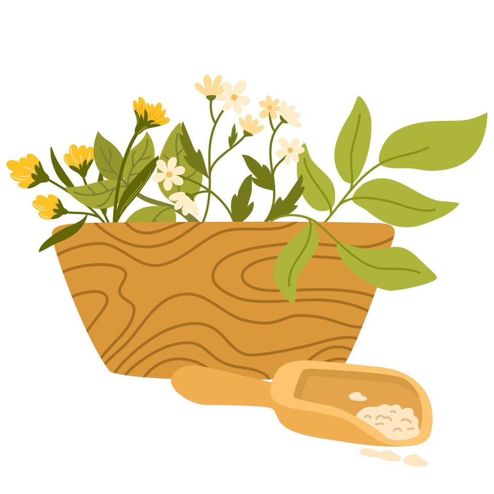 Healing herbs in mortar with pestle. Herbal and floral plants in wood bowl for grinding. Organic natural folk medicine from flower, leaf. Flat illustration isolated on white background vector