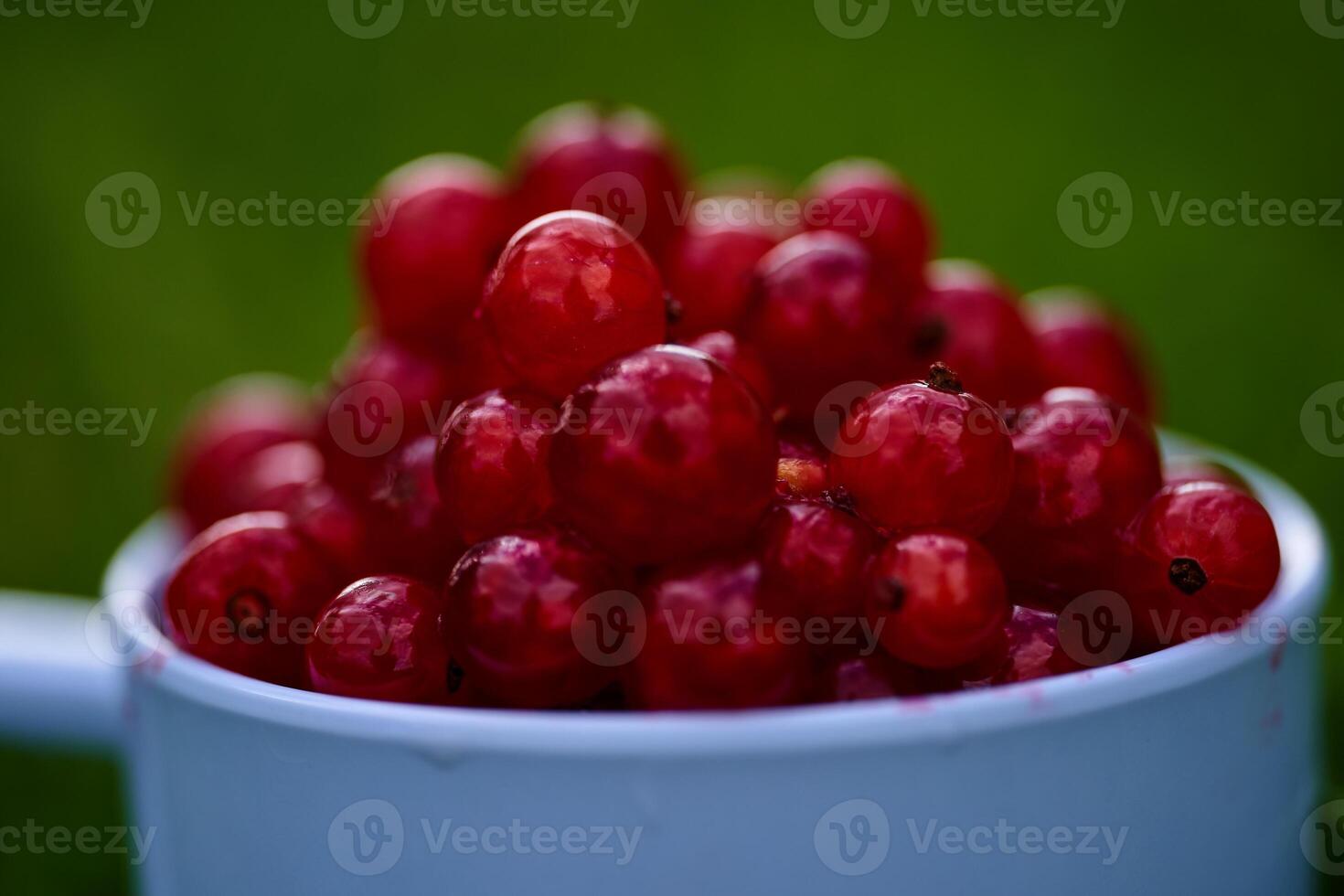 Red currant on green grass background in white cup, on the spoon photo