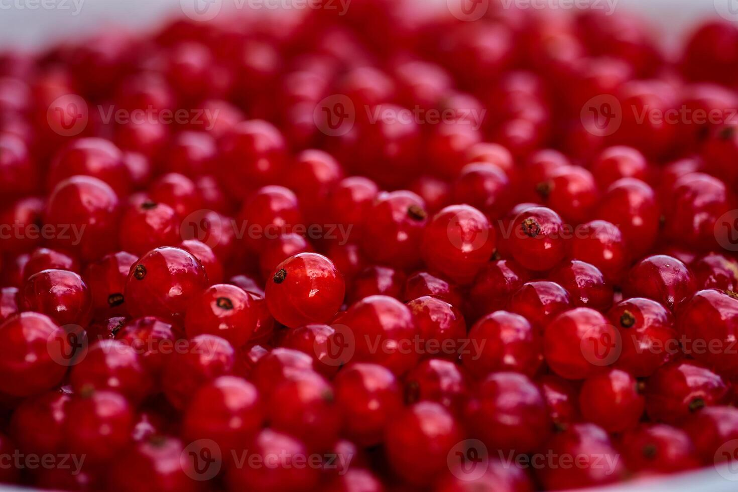 Red currant on green grass background in white cup, on the spoon photo
