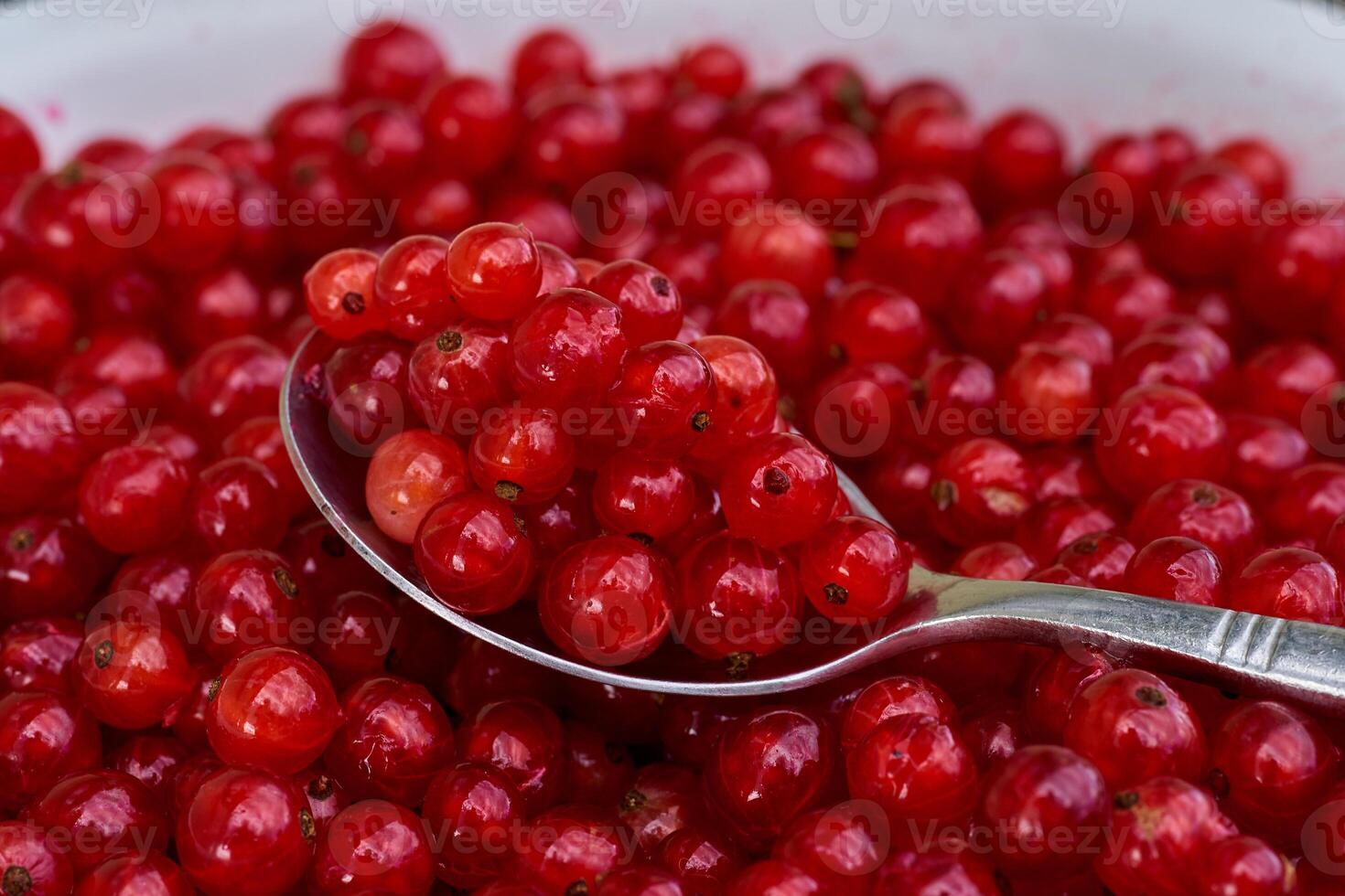 Red currant on green grass background in white cup, on the spoon photo