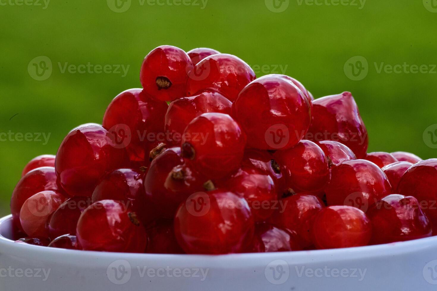 Red currant on green grass background in white cup, on the spoon photo