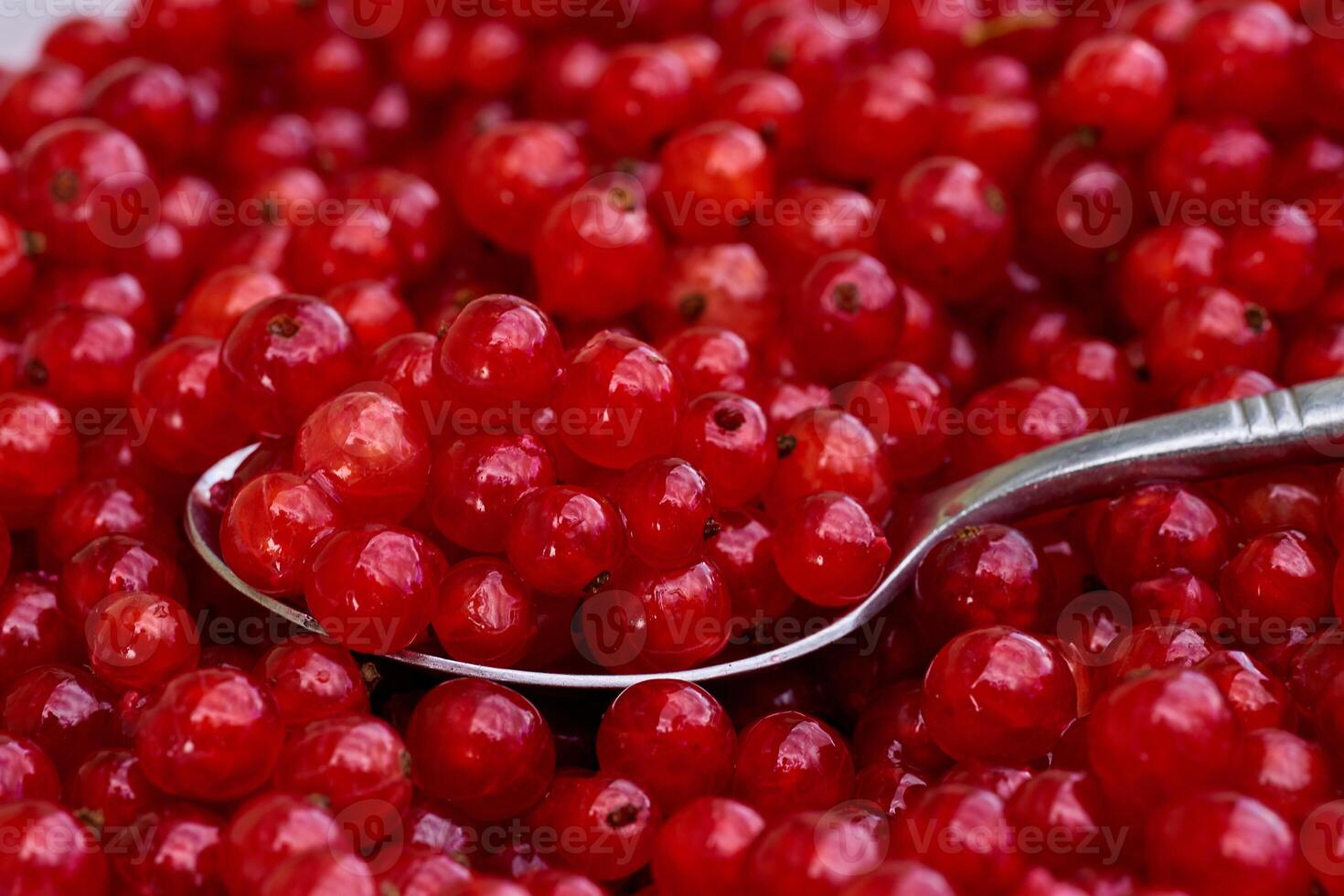 Red currant on green grass background in white cup, on the spoon photo