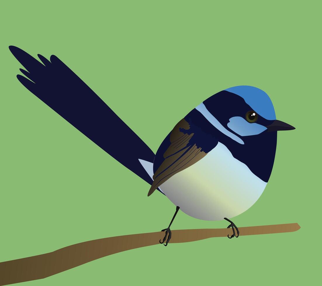 A very cute female zebra finch bird in the shape of an egg. Blue background. The bird sits on a branch with pink blossoms. vector