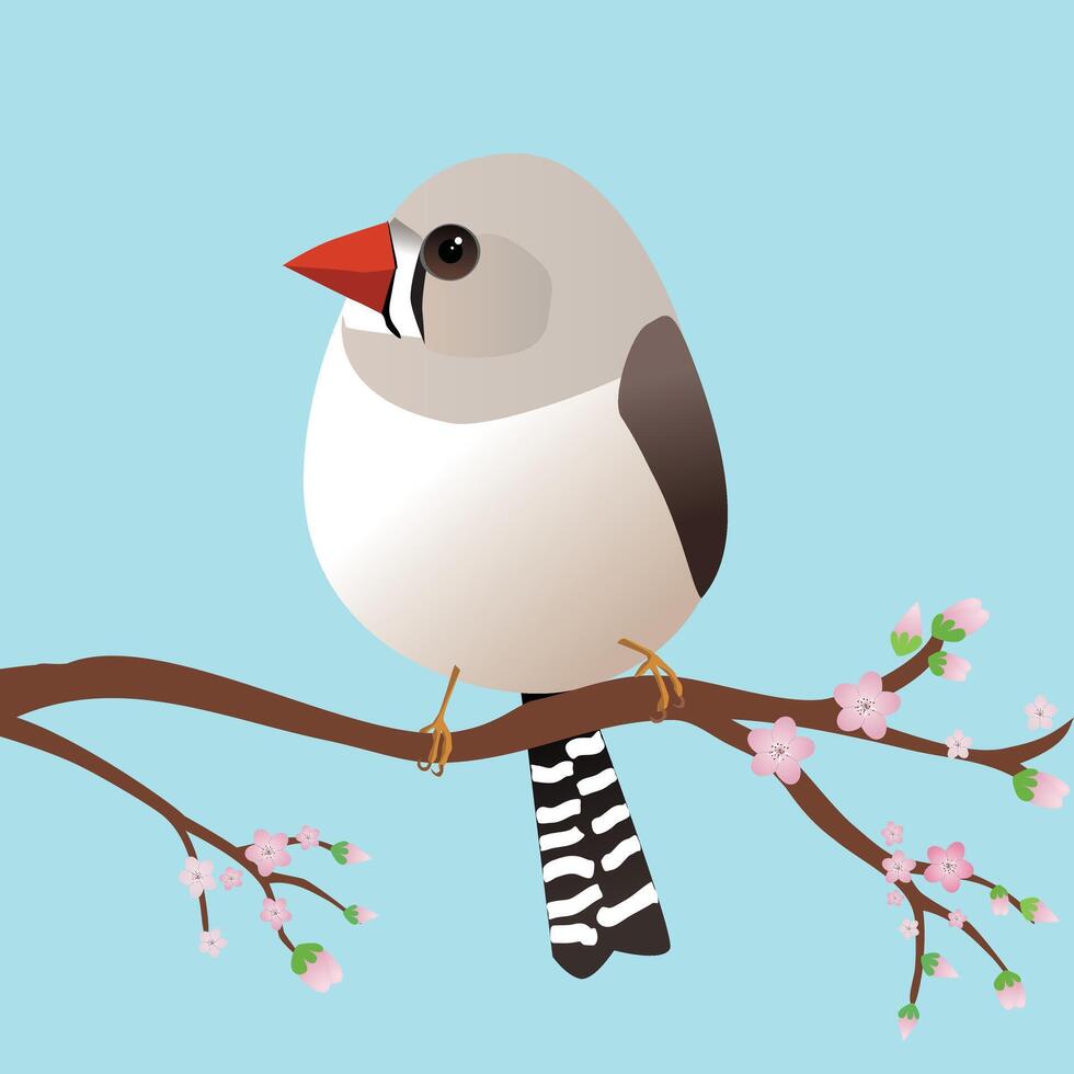 A very cute female zebra finch bird in the shape of an egg. Blue background. The bird sits on a branch with pink blossoms. vector