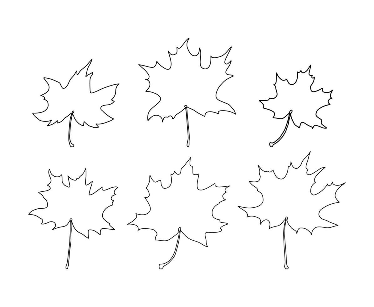 Set of maple tree leaves outline without veins. Autumn, fall. Maple tree leaf line art. vector