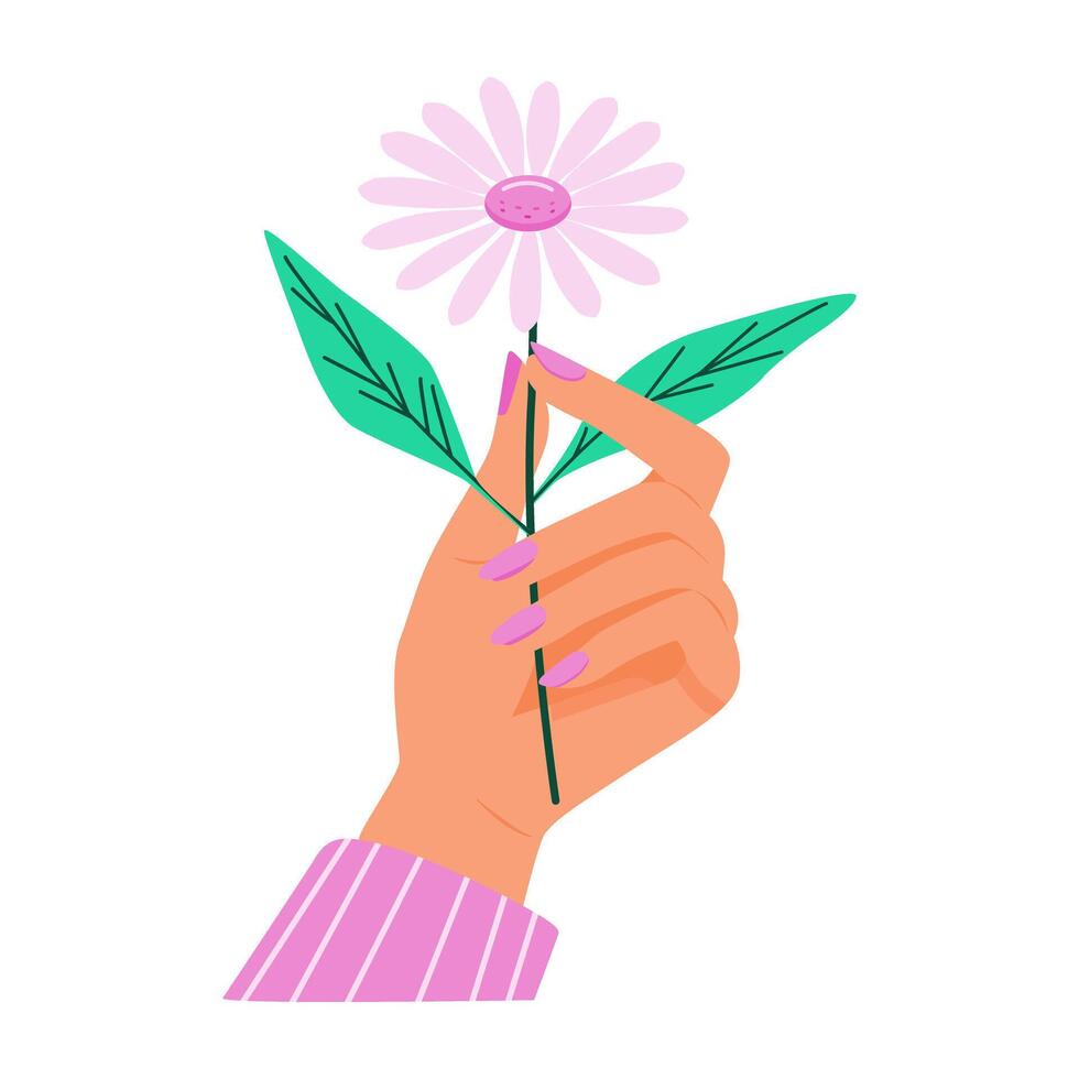 a hand holding a flower with green leaves vector