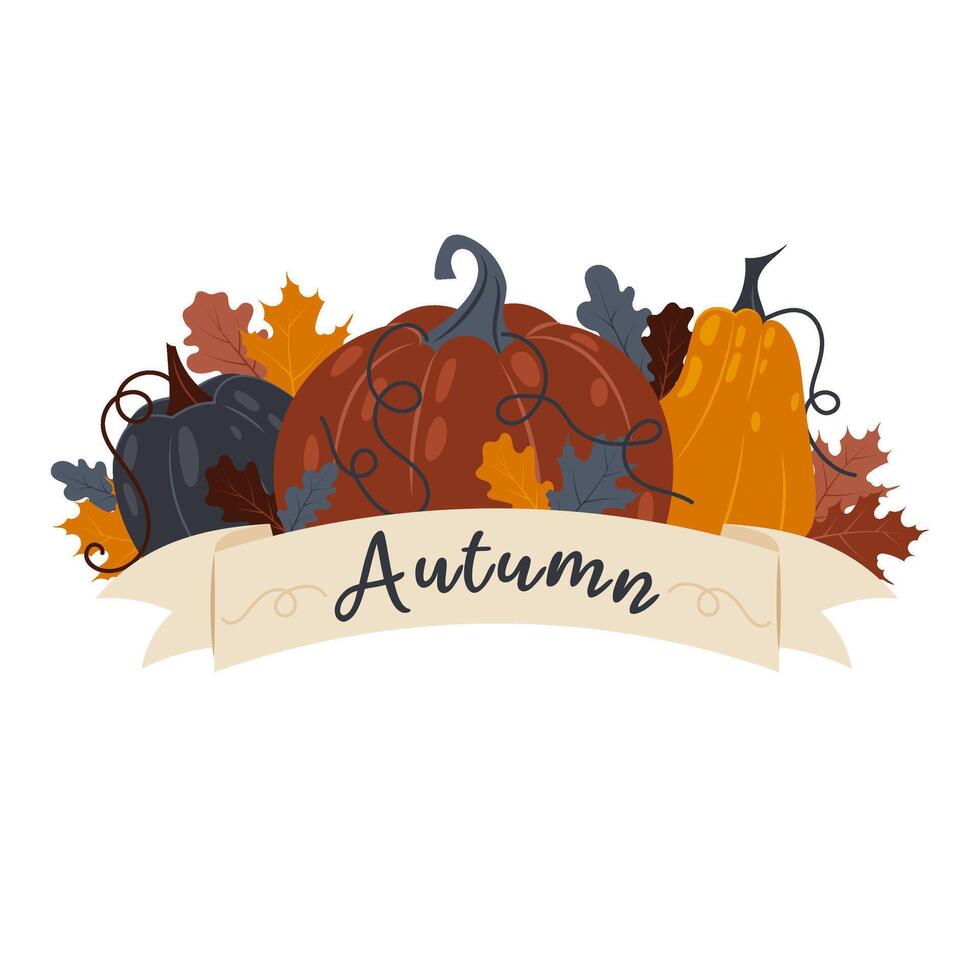 Autumn lettering. Autumn banner with ripe pumpkins and leaves on white background. Ripe pumpkin in flat style. vector