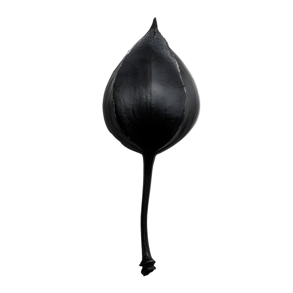 Black and white photo of isolated black seed png