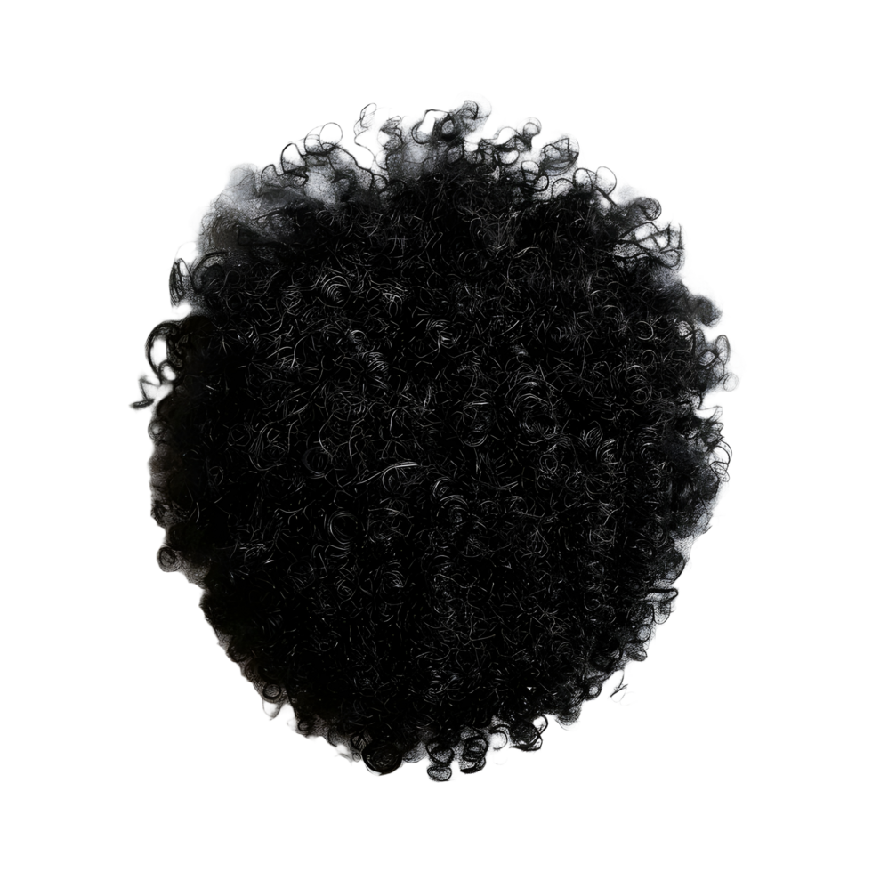Black female hair patch on transparent background high res 8K png