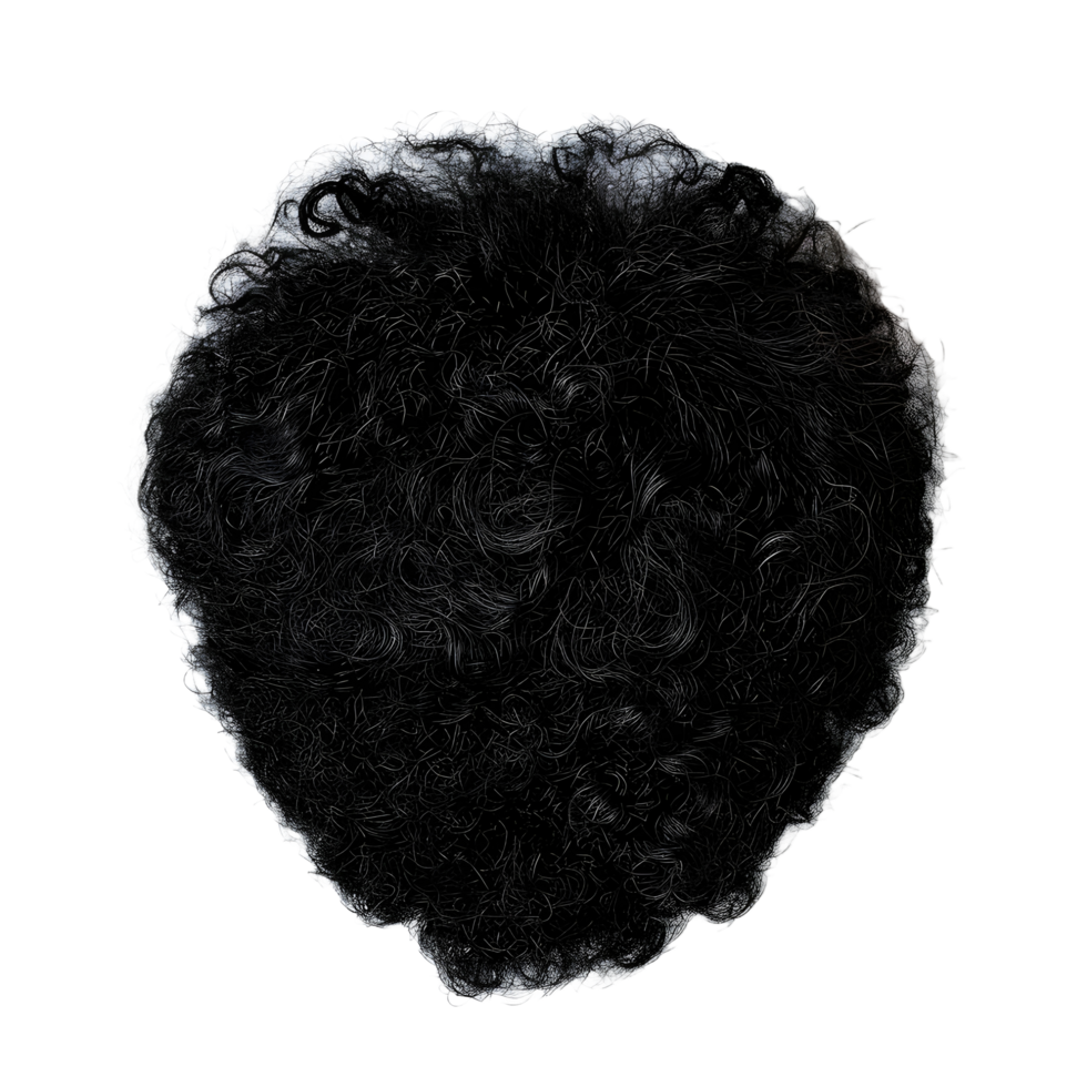 Black female hair patch on transparent background high res 8K png