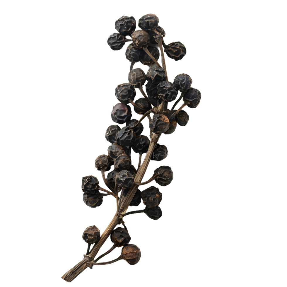 Black pepper on transparent background high res 8K png