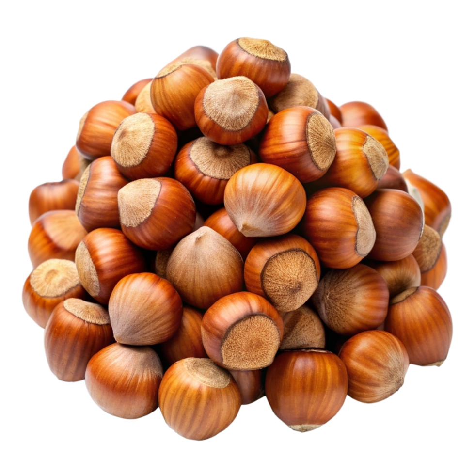 Heap of Hazelnuts Grains Image Photo png