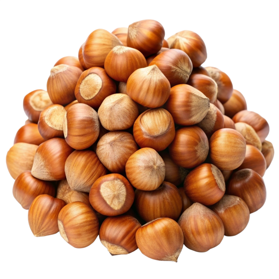 Heap of Hazelnuts Grains Art png