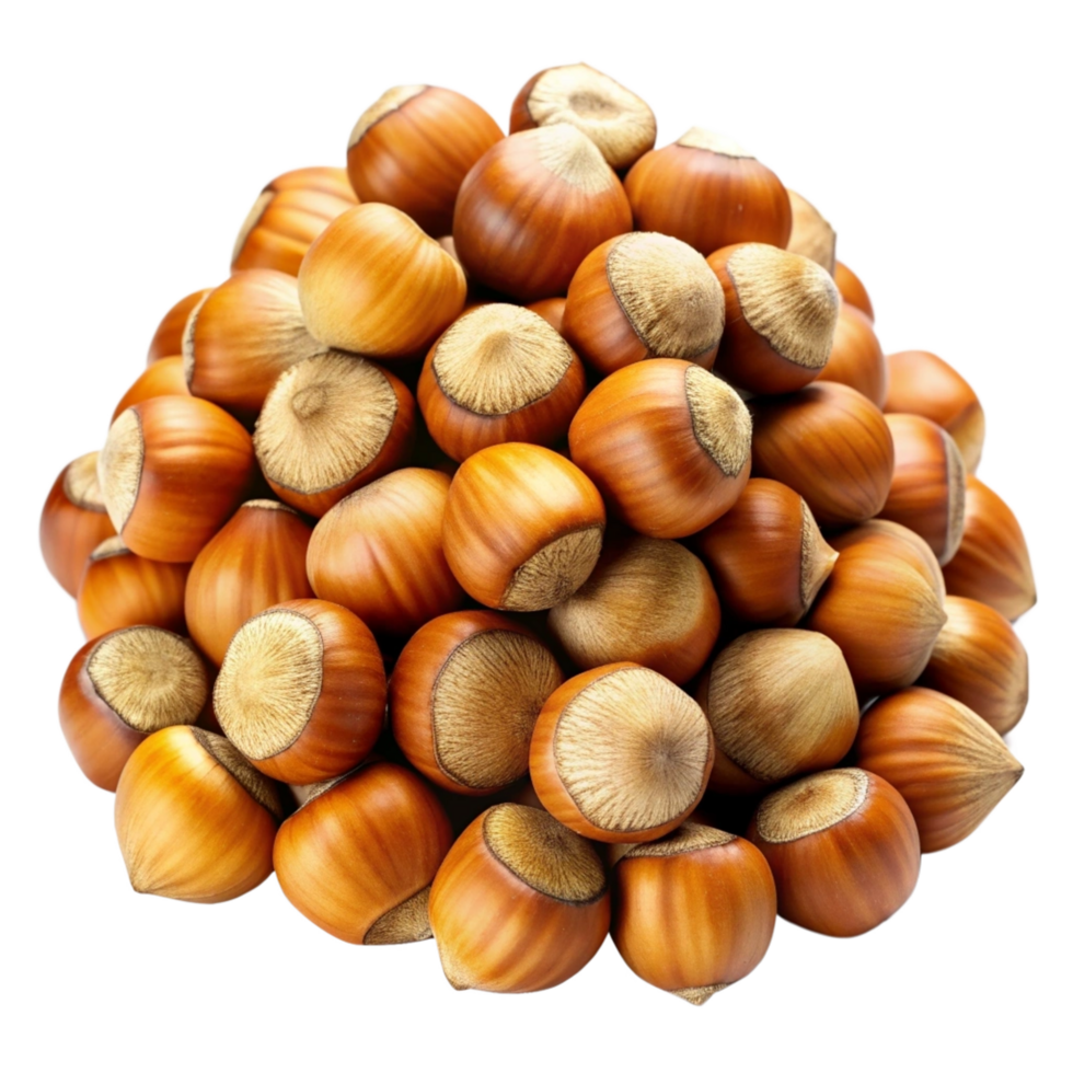 Heap of Hazelnuts Grains Illustration png