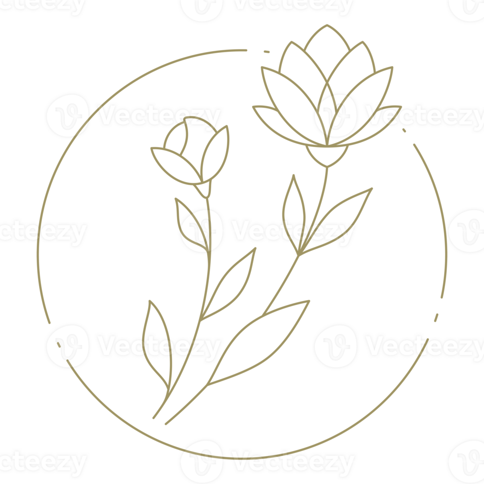 Flower in circle frame line art design element png